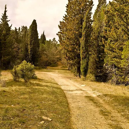 Daire Alice - In The Vineyards Strada in Chianti