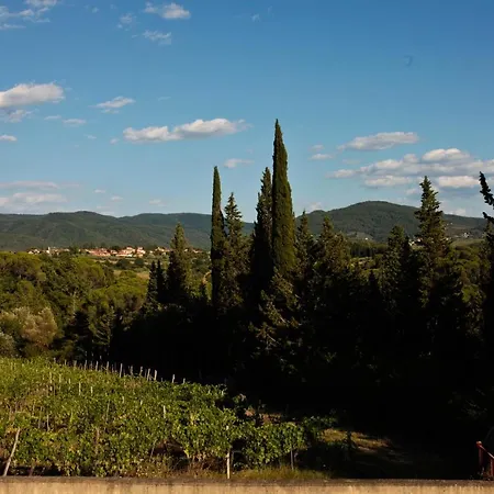 Alice - In The Vineyards Strada in Chianti